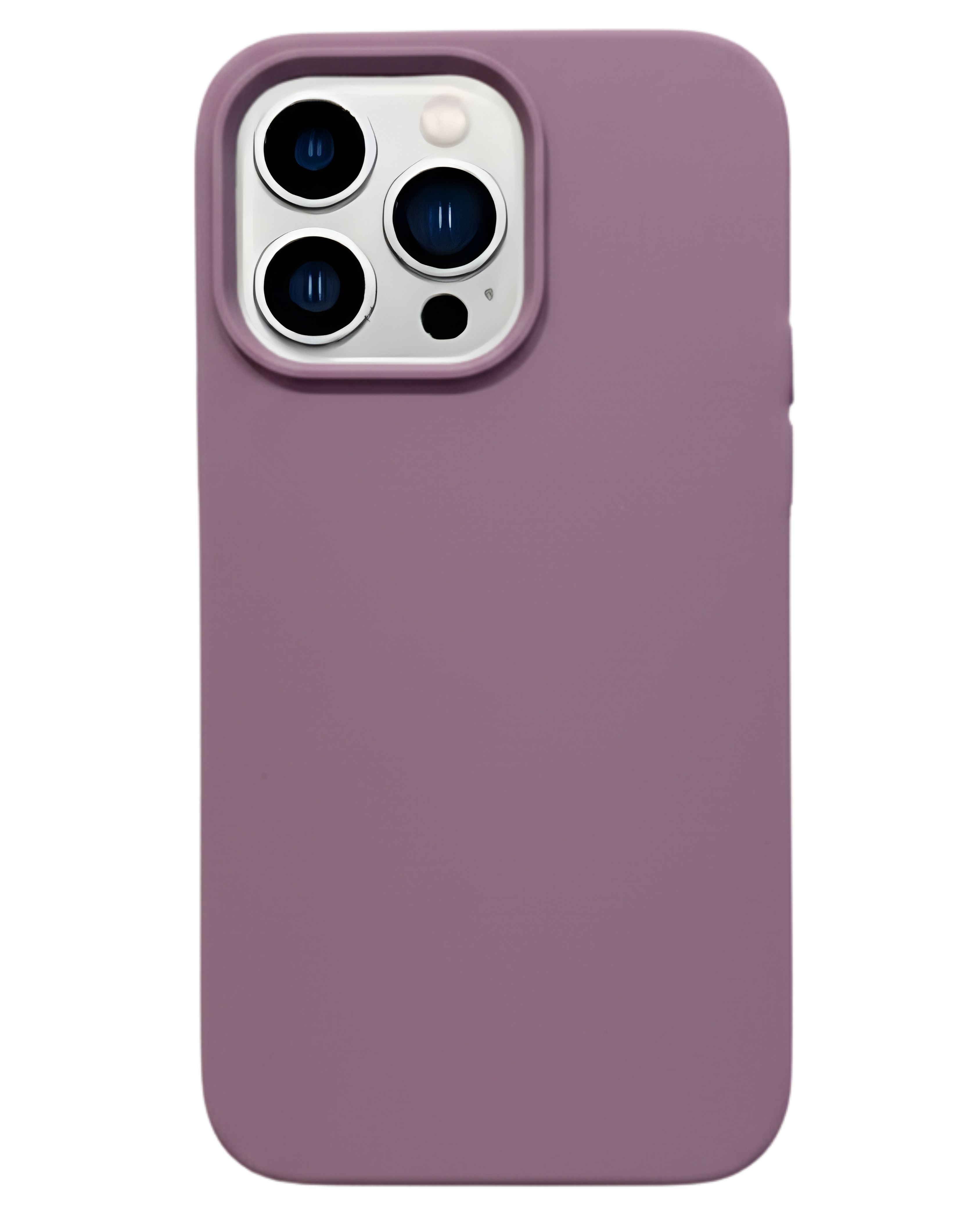 iPhone 13 Pro Case